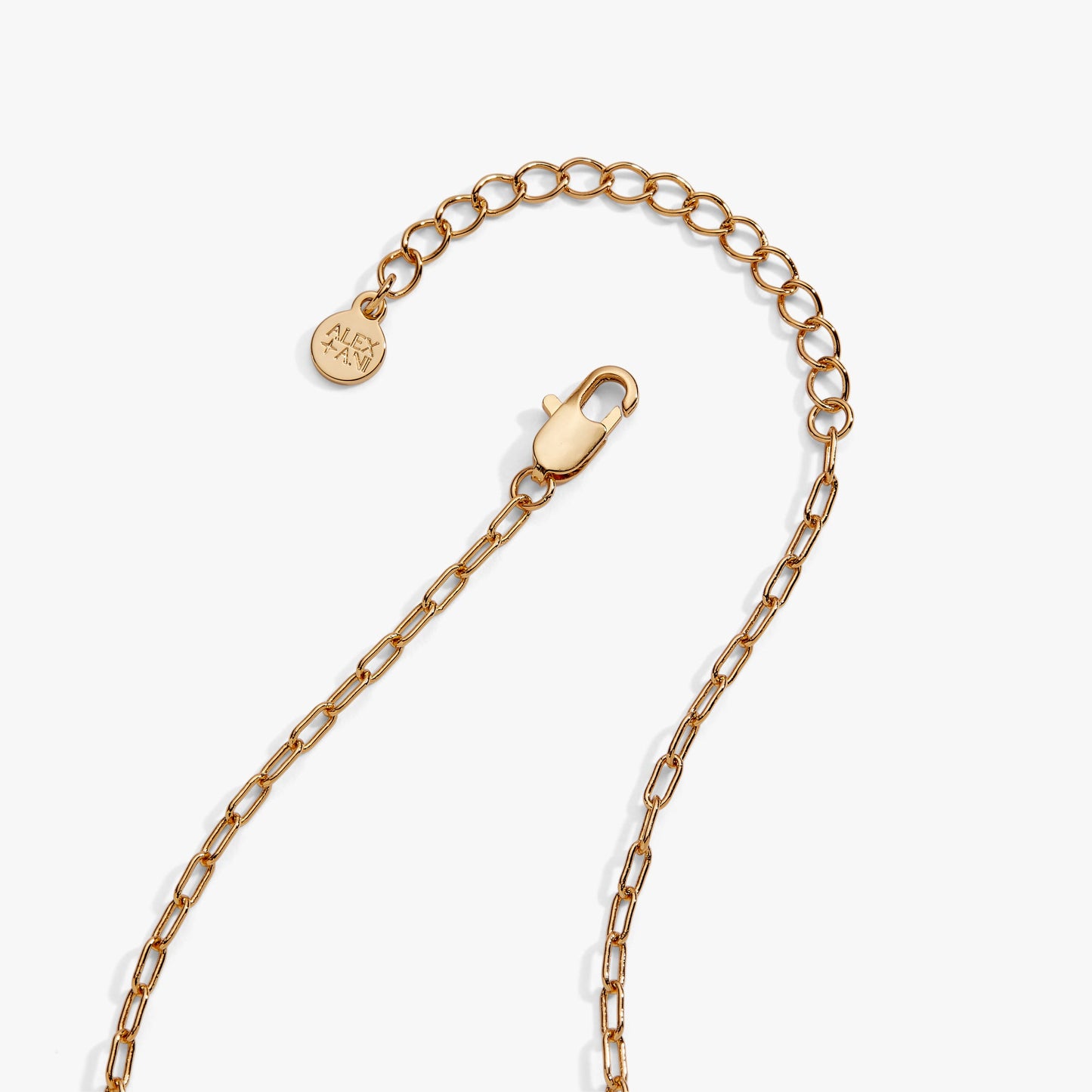 Pasta Girl 'Anything Is Pastable' Ravioli Locket Necklace – Gold